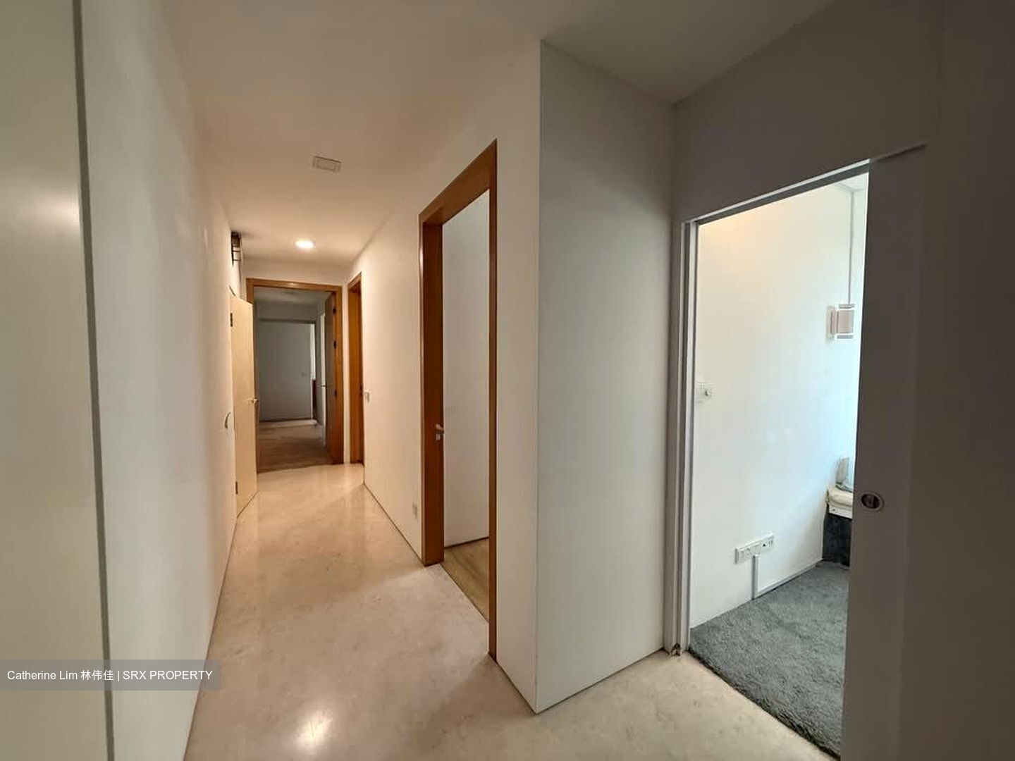 Scotts Highpark (D9), Condominium #569752981